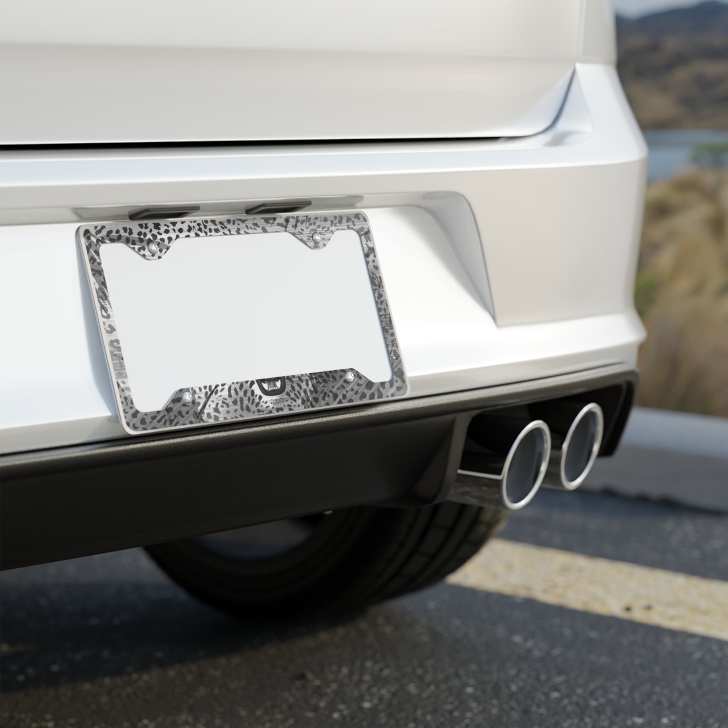 Brushed Stainless Metal License Plate Frame | Slim Decorative Car Frame